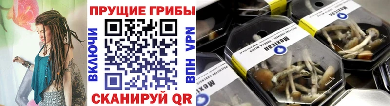 Псилоцибиновые грибы Psilocybe  Гагарин 